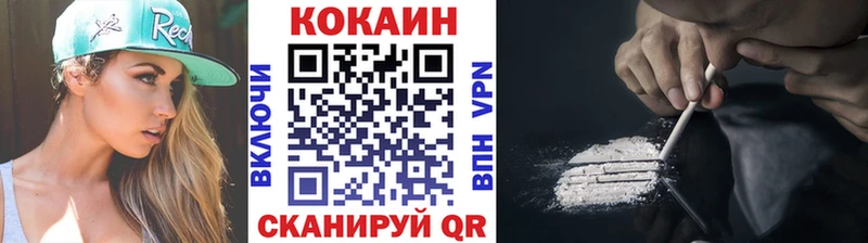 Кокаин Fish Scale  ссылка на мегу онион  Новозыбков 
