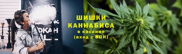 spice Медногорск