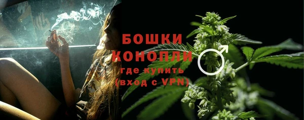 сатива Богородск