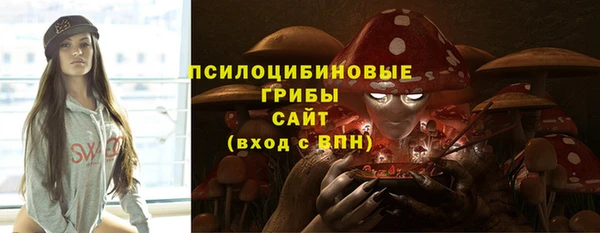 сатива Богородск