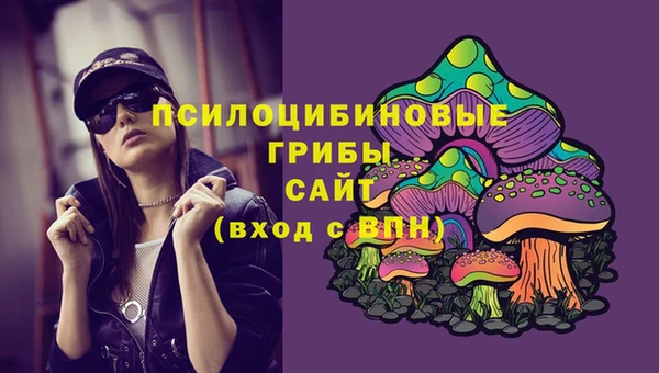 таблы Богданович