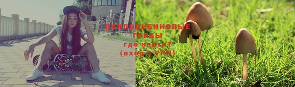 меф Богородицк