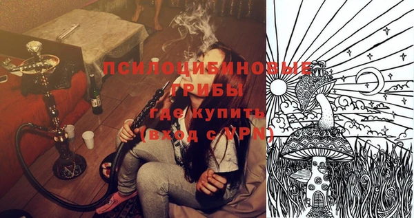 сатива Богородск