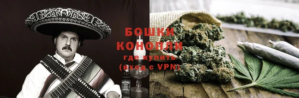сатива Богородск