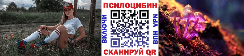 Псилоцибиновые грибы Psilocybine cubensis  где продают   Новозыбков 